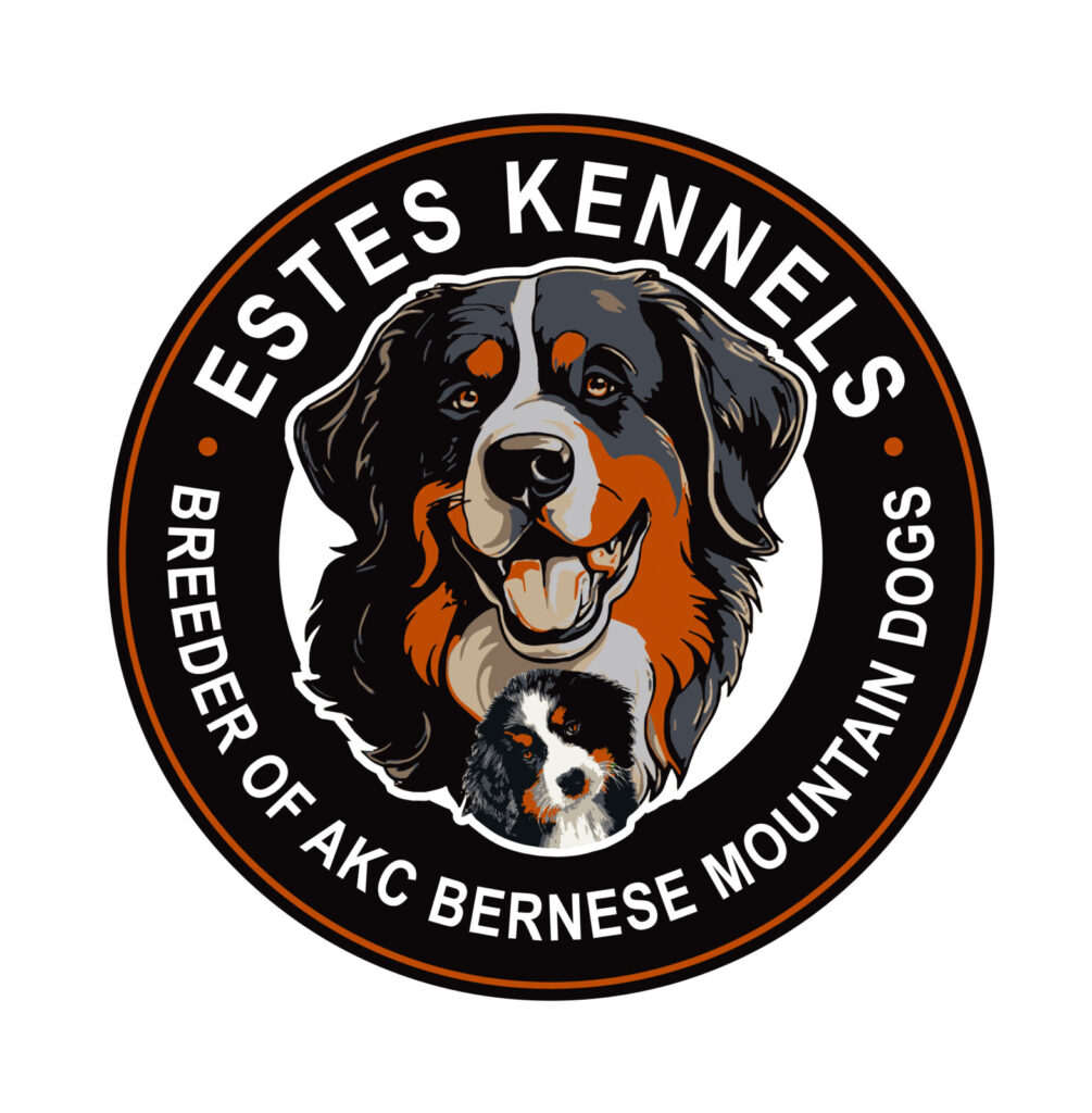 Estes Kennels Breeder of Bernese Mountain Dog